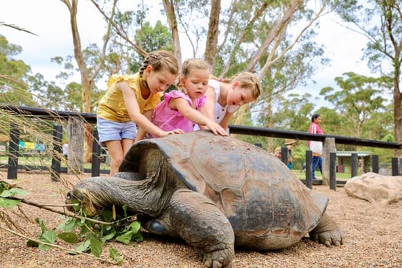 Australian-Reptile-Park-Kids-Party-3