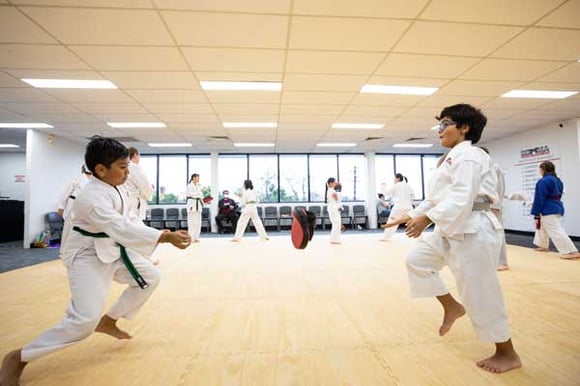 Black-Belt-main
