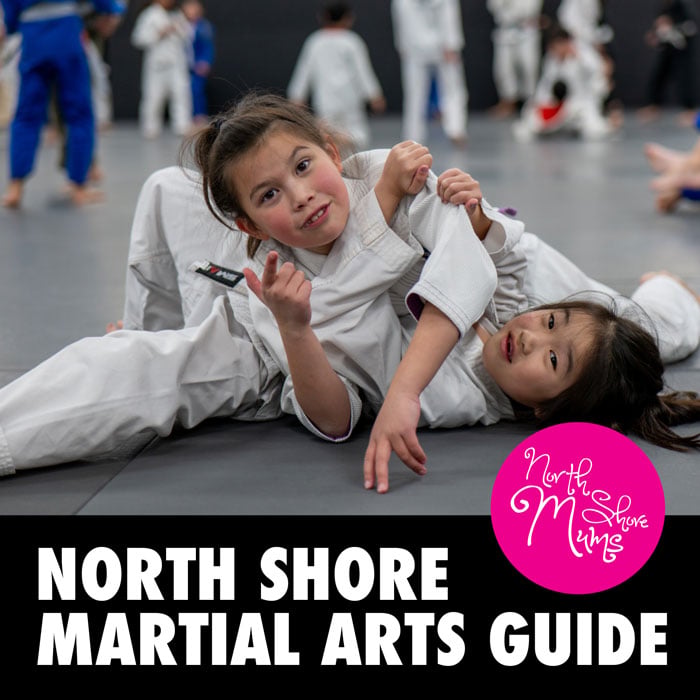 North-Shore-Martial-Arts-Classes-Guide-2026