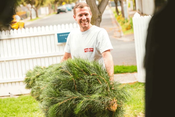 Real-Christmas-Tree-Elves-2