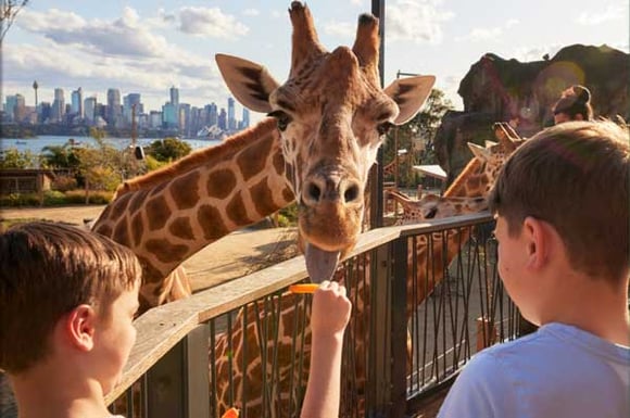 Taronga