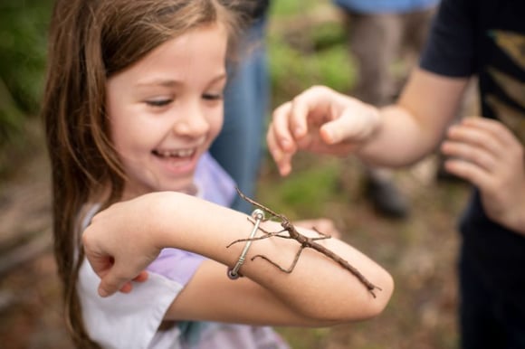 Wildflower-Garden-1-855x570